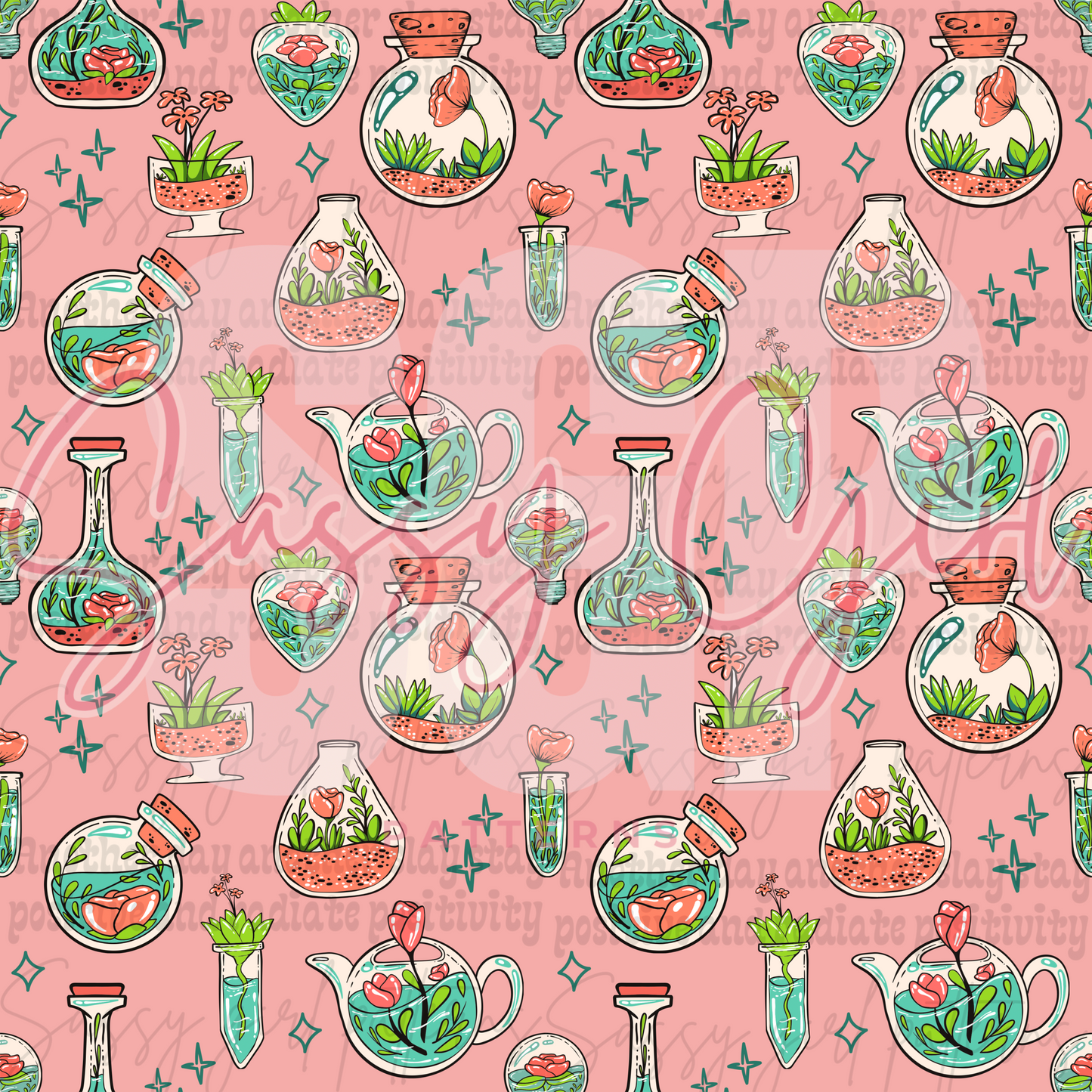 Aesthetic succulents