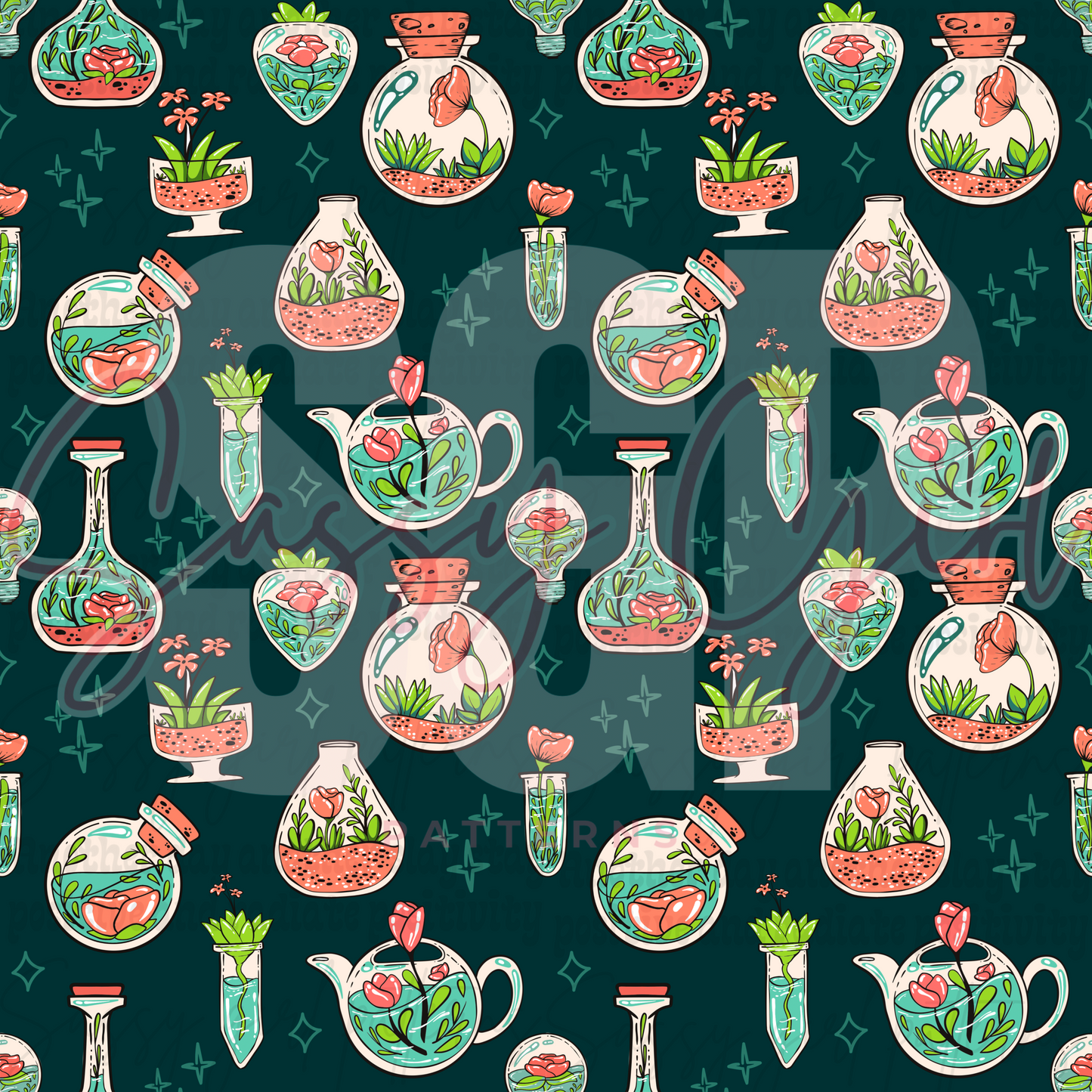 Aesthetic succulents