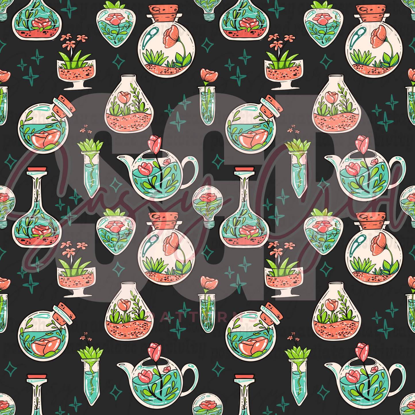 Aesthetic succulents