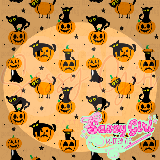 Black cat and pumpkins